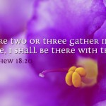 23rd-sunday-of-the-year