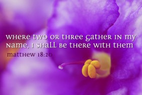 23rd-sunday-of-the-year