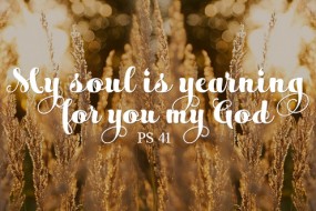 23rd-sunday-of-the-year1