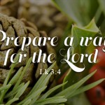 2nd-sunday-of-advent2