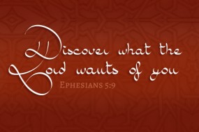th-sunday-of-lent1